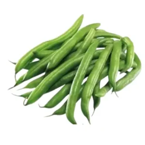 لوبیا سبز