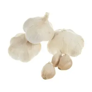 سیر خشک