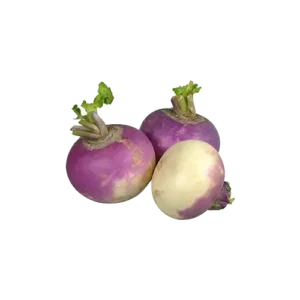 شلغم
