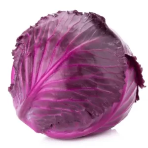کلم بنفش