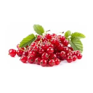 خرید رد کارنت