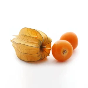خرید فیسالیس