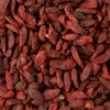 خرید گوجی بری